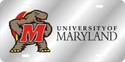 M TURTLE U OF MARYLAND-SILVER 00/COLORS